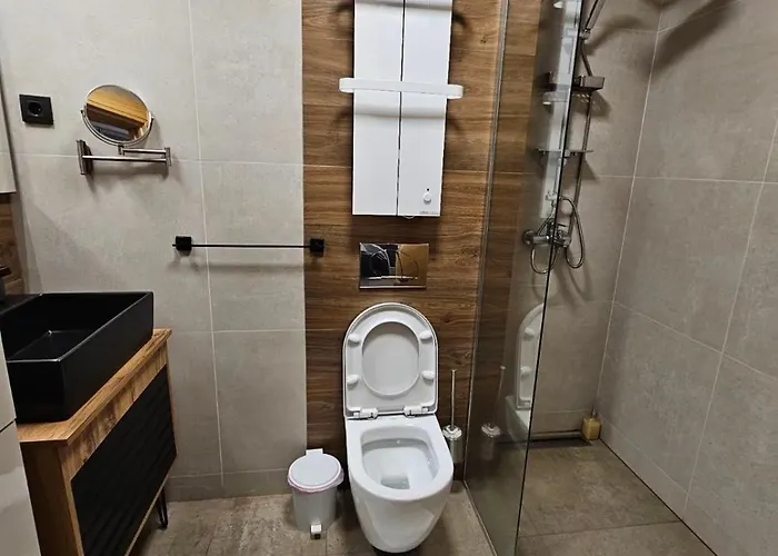 Mila 108 Daire Zlatibor